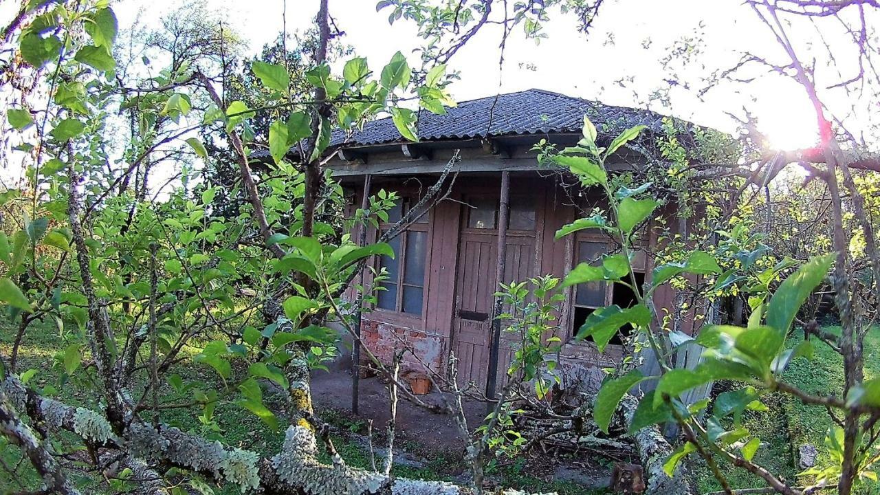 Surmava Palace Мартвили Екстериор снимка